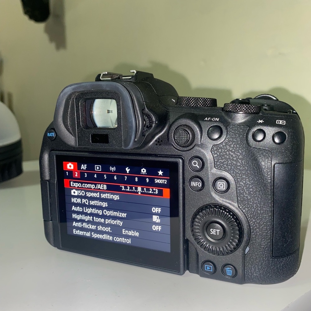 Canon R6 with Lens - Picture 11 of 13